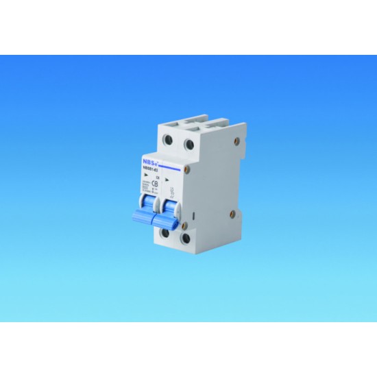 MCBs NBSe NBSB1-63 C6 6amp Double Pole MCB miniature circuit breaker for caravan and motorhome SC122J
