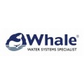Whale Pipe & Pipe fittings